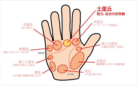 土星丘直紋|土星丘に関する手相のまとめ